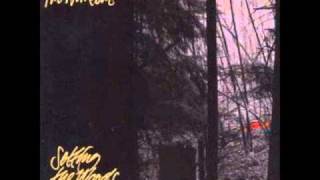 The Walkabouts - Sand & Gravel chords