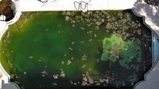 Henderson green pool: City has responded 6 times as neighbors’ concerns grow