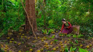 The young girl makes a living alone with her children in the mountains picking forest fruits.