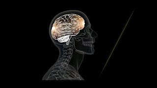 Know the Signs of a Concussion