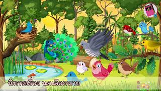 นิทานเรื่อง นกเลือกนาย #นิทานสอนใจ #story #โค้ชเกด #ห้องเรีบนเปลี่ยนชีวิต #นิทานเปลี่บนชีวิต