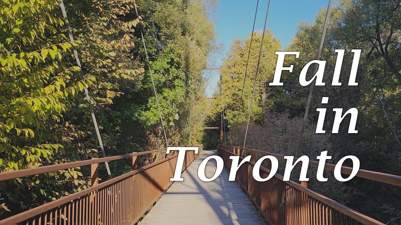 Fall Diaries | Changing Colours & Pumpkin Spice Obsession