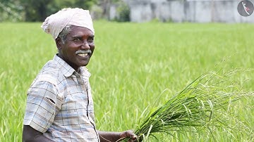 Crop Production And Management  | Part 2/2 | English | Class 8