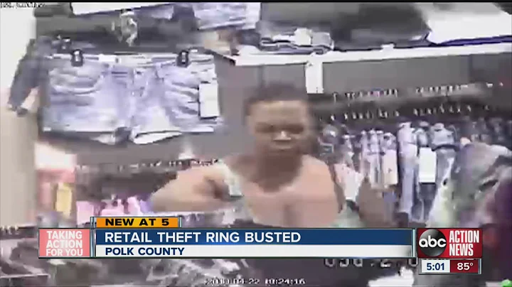 Polk County Sheriff Grady Judd: Retail theft ring busted, 18 face charges