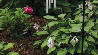 Wind Chimes & Garden 2020 Vol II screenshot 1