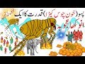 Interesting facts about Fleas | facts about Insects | Hayat ul Haiwan