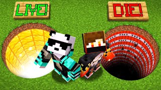 DON’T CHOOSE WRONG HOLE IN MINECRAFT