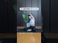 一石五鳥?!神ストレッチ!#二の腕痩せ #宅トレ #ダイエット #ストレッチ