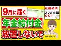 【去年ダメでも、今年は対象？】ハガキを放置しないで。年金生活者支援給付金対象者・金額・スマホ申請を社労士が解説【老齢・遺族・障害年金】