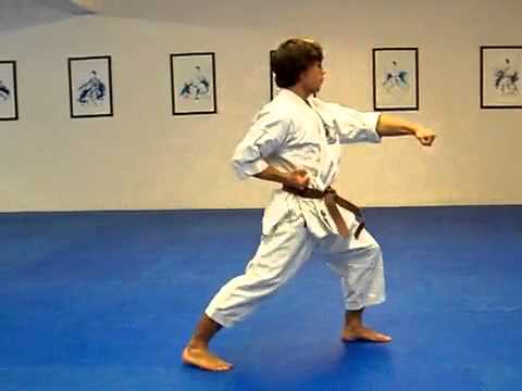 Taikyoku Shodan Shotokan Karate kata 1