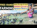 इसे कहते है असली फ्री-रेंज फार्म | Free-range Poultry | कब कैसे और कहाँ करें फ्री रेंज मुर्गी पालन