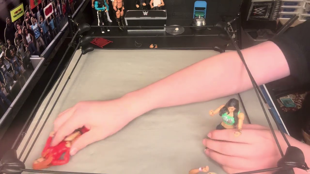 Wwe four way women’s battle Royale ￼