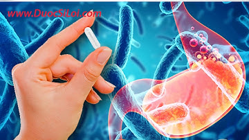 Bacilus Coagulans - Men vi sinh giúp giảm tiêu chảy và tăng miễn dịch