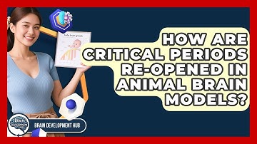 How Are Critical Periods Re-opened In Animal Brain Models? - Brain Development Hub