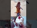 Funny Animals