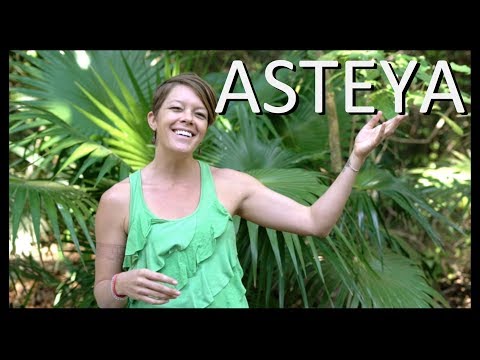 Vídeo: Quin és el significat de Asteya?