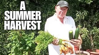 A Summer Harvest [Container Gardening ]