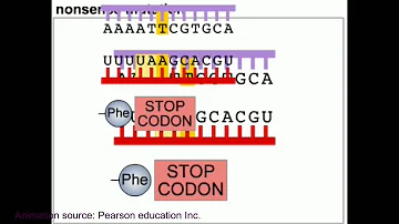 Mutation and DNA repair mechanism animation