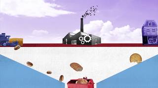 Producing 70 more food with a Circular Agrofood System