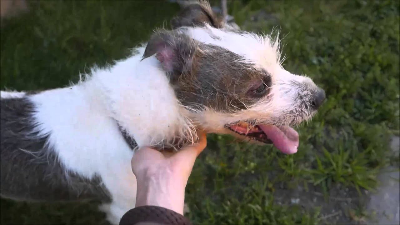 Linda - A1042638 - Brooklyn ACC camera iphone 8 plus apk