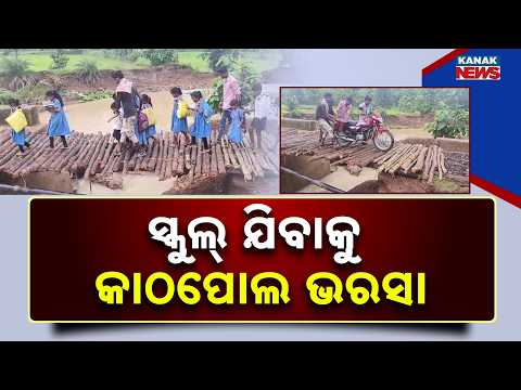 ସ୍କୁଲ୍‌ ଯିବାକୁ କାଠପୋଲ ଭରସା |Nuapada Road Crisis | Villages Depend on a Risky Temporary Wooden Bridge