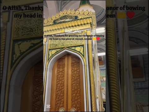 O Allah Thankyou For Granting Me The Honor Of Bowing My Head In This Piece Of Jannah Ameen Short
