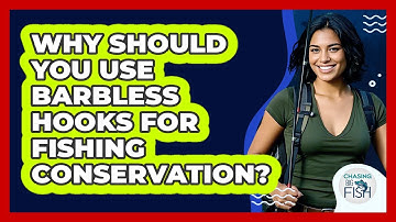 Why Should You Use Barbless Hooks For Fishing Conservation? - Chasing Big Fish