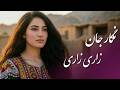 Negar Jan Zari Zari Afghan Folk Song AI نگار جان زاری زاری بهترین آهنگ محلی عاشقانه