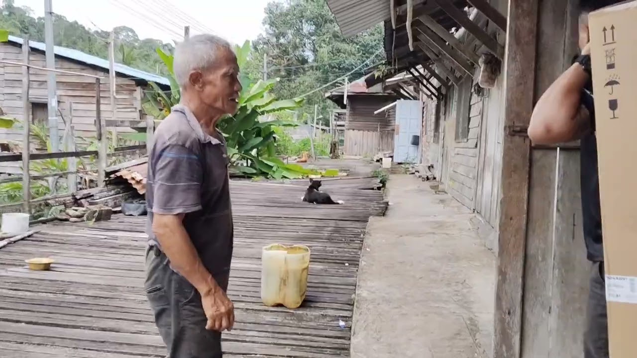 Pulai ke rmh panjai Ng Meluan, Melinau alu niki buah dabai