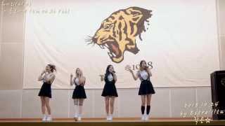 20151024 하이디(Hi.D) 중앙고등학교 졸업20주년 기념행사 전체직캠(Full Version)