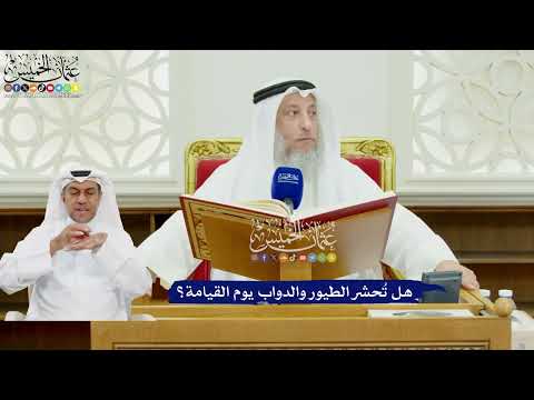 462 - هل تُحشر الطيور والدواب يوم القيامة؟ - عثمان الخميس