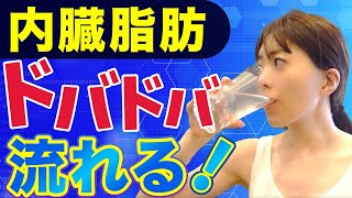 【ダイエット】朝一杯飲むだけで中性脂肪・内臓脂肪を減らす朝の神ドリンク3選