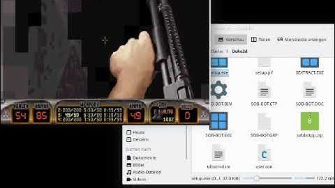 Duke Nukem 3d Linux Playing with Bots