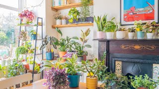 A Tour of My Best And Worst Houseplants