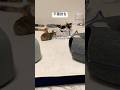 不意討ち #猫動画 #cat #ねこ #猫 #ネコ #癒される #保護猫 #三毛猫 #かわいい #かわいい猫 #ねこのいる生活 #ねこのいる暮らし #ねこのきもち