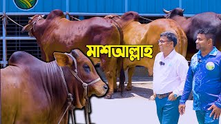 গরুর রাজধানী সিরাজগঞ্জের চোখ জুড়ানো ঈদের কালেকশন । আরাভ এগ্রো ফার্ম