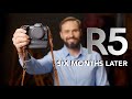 Canon EOS R5 Six Months Later - Follow-up and Updated Review