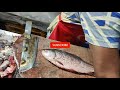 ROHU FISH || BENGALI CUTTING ROHU FISH || BY EXPERT CUTTER ||  A.M FISH HOUSE..