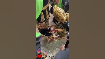 ACEH WEDDING #videoshort #aceh #video #shorts #malaysia #pengantin #langsa #india #nikah #indonesia