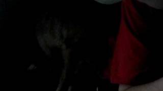 Picture 497.avi