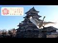 春の訪れる松本城公園 　国宝・松本城で桜を楽しむ