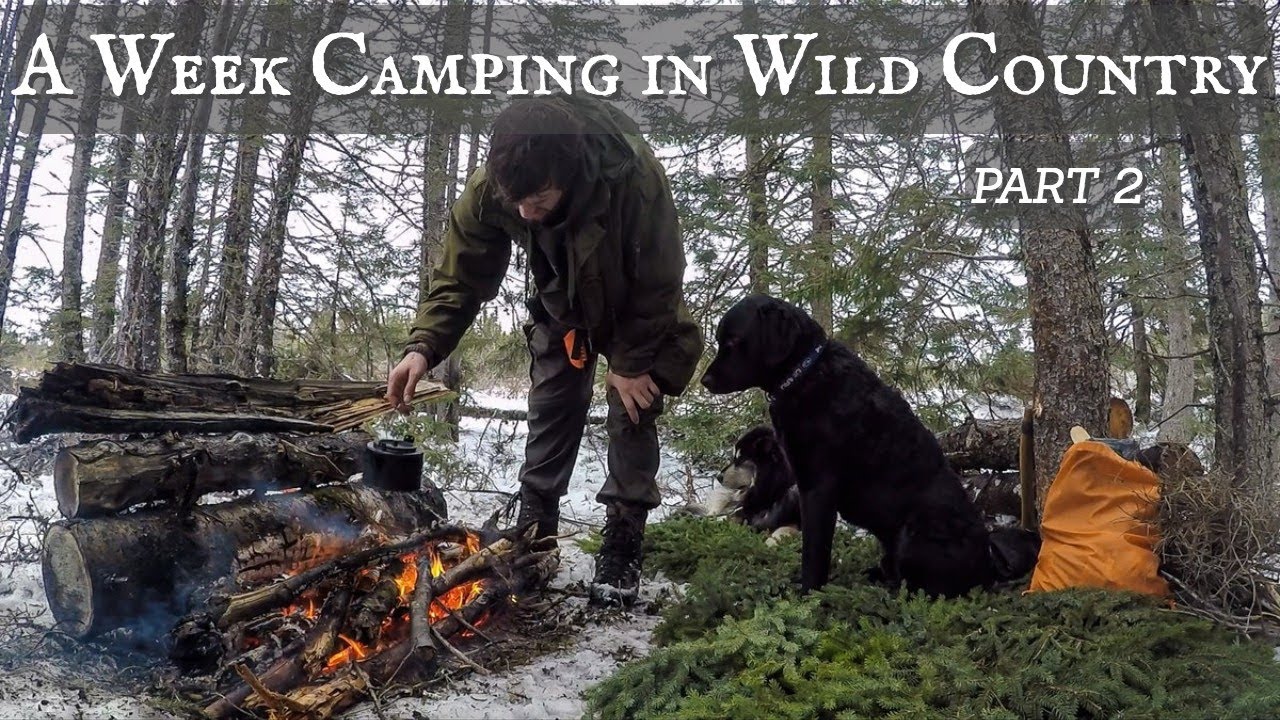 Download A Week Camping in Wild Country: SURVIVAL SKILLS & SPRING STORMS - PART 2