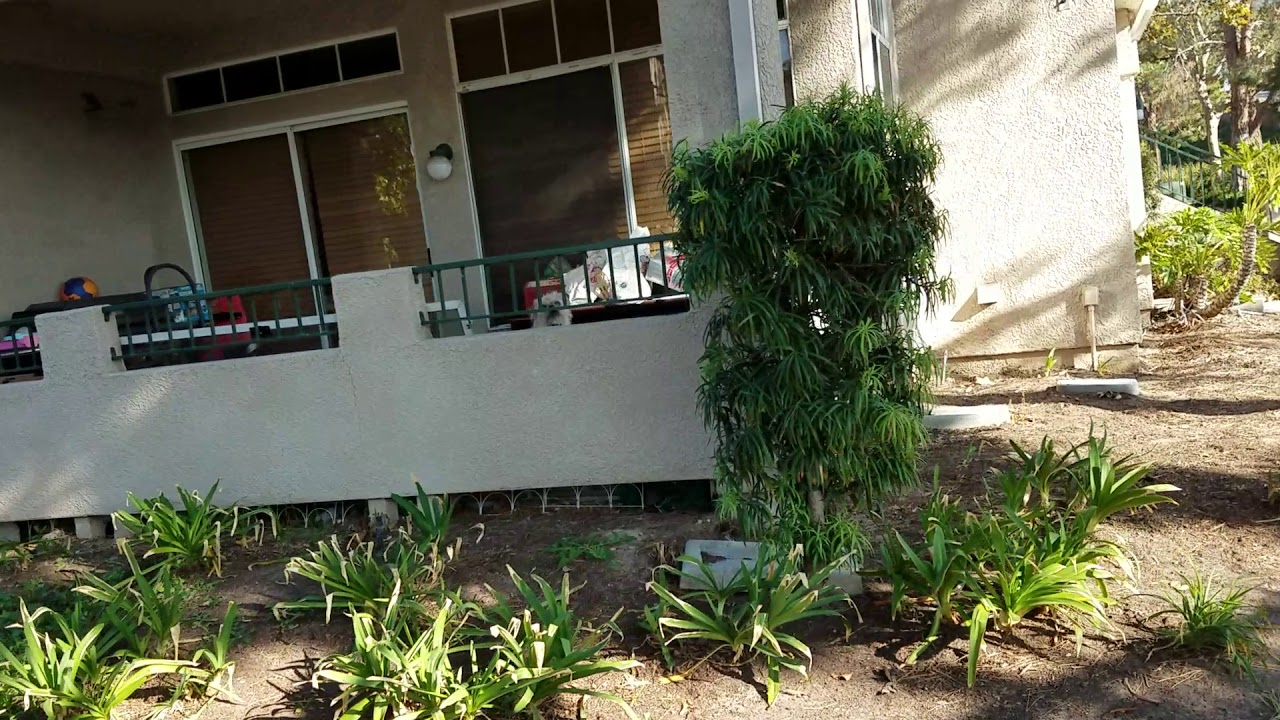 Seagate Colony Condominium YouTube