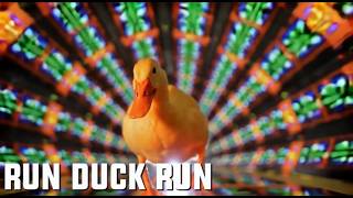 RUN DUCK RUN — Official Music Video (Insane Chase Song)