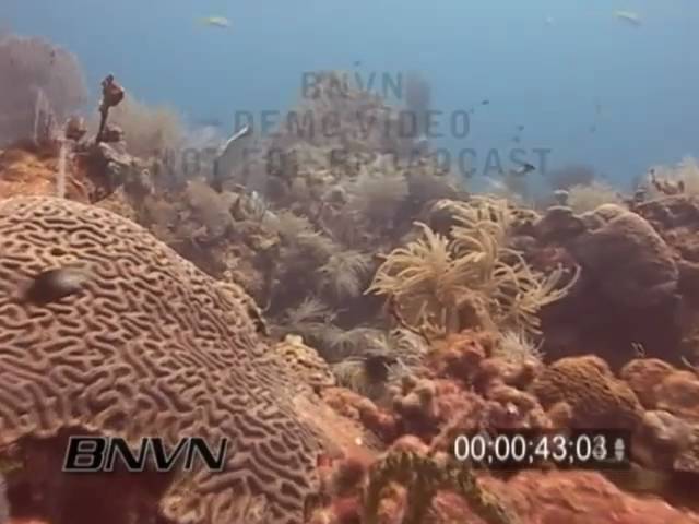 5/14/2004 Dry Tortugas Ecological Reserve Video.
