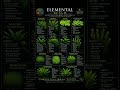 #AquariumPlants