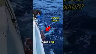 Fishing Freaks Squid