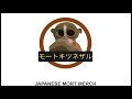 NEW JAPANESE THEMED MORT MERCH AVAILABLE NOW