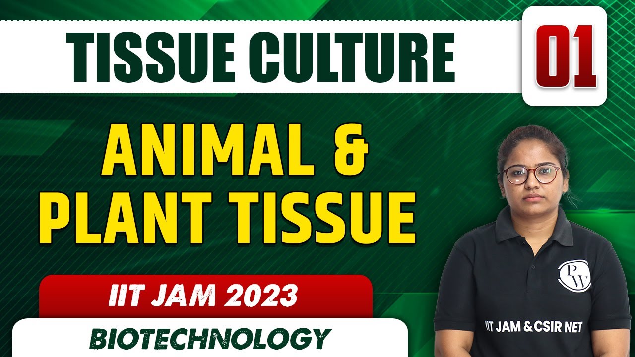 Animal & Plant Tissue | Tissue Culture 01 | Biotechnology | IIT JAM 2023