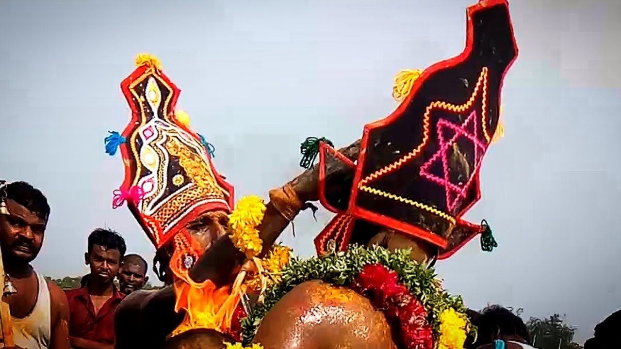 முனியசாமி கோவில் கொடைவிழா muneeswarar Kovil kodai